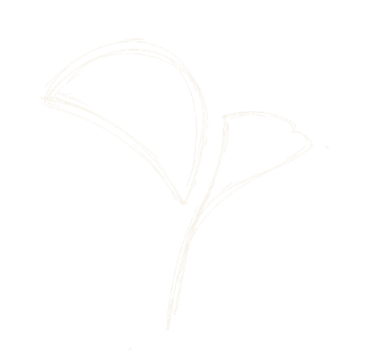 Dupré Decamp Institut